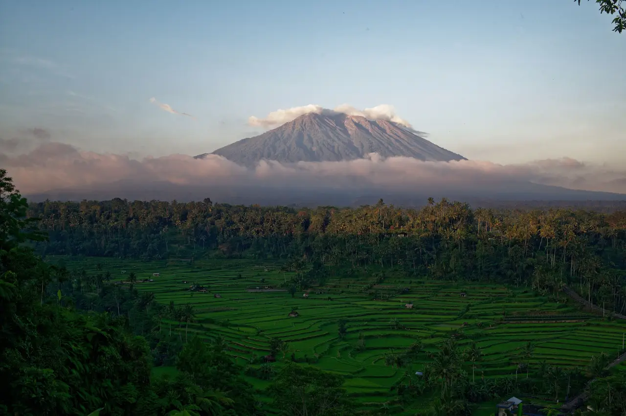 Mount Agung at first light, its grey cone rising above a band of pink cloud, with green rice terraces and coconut palms in the valley below.