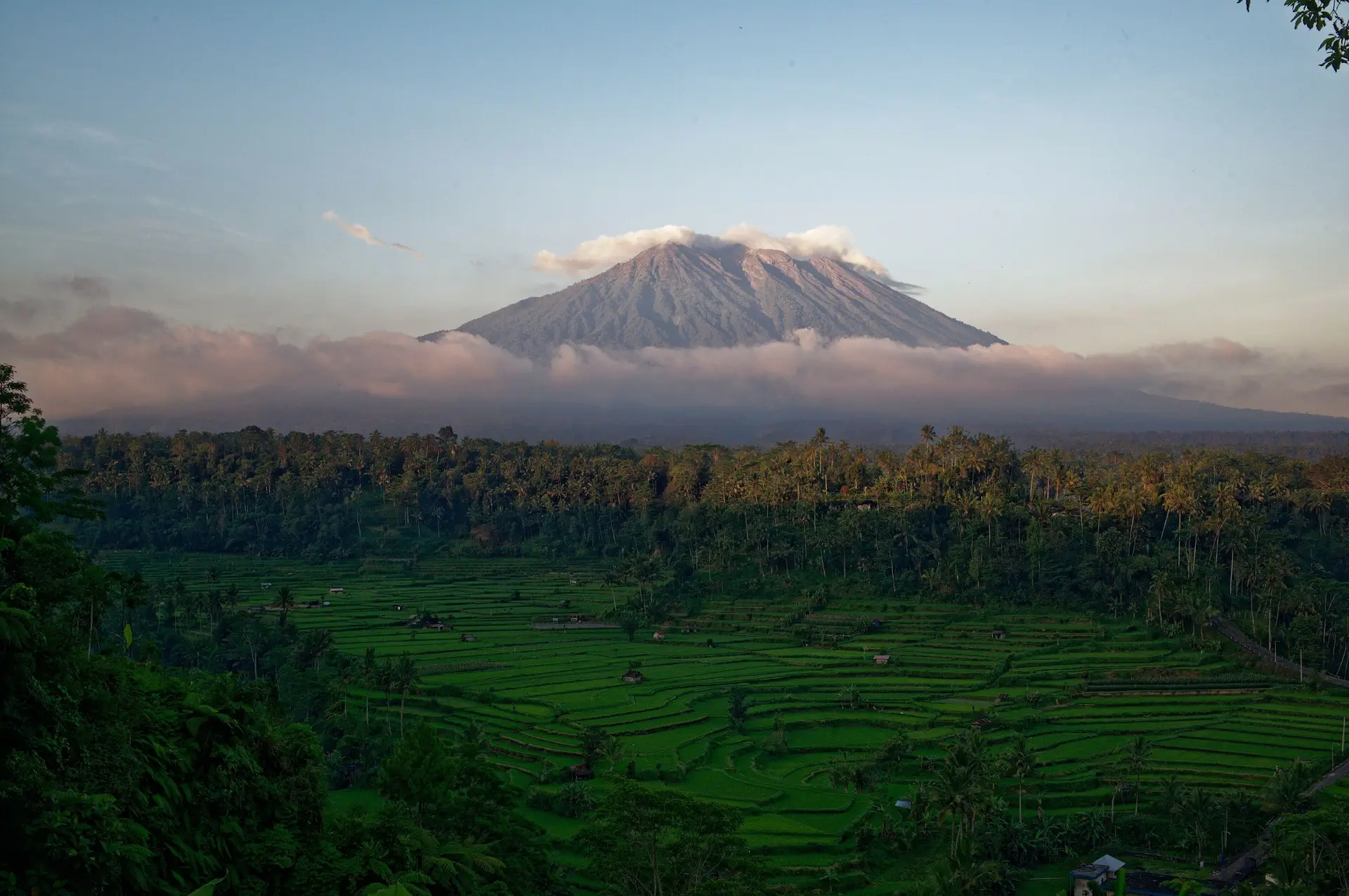 Mount Agung at first light, its grey cone rising above a band of pink cloud, with green rice terraces and coconut palms in the valley below.