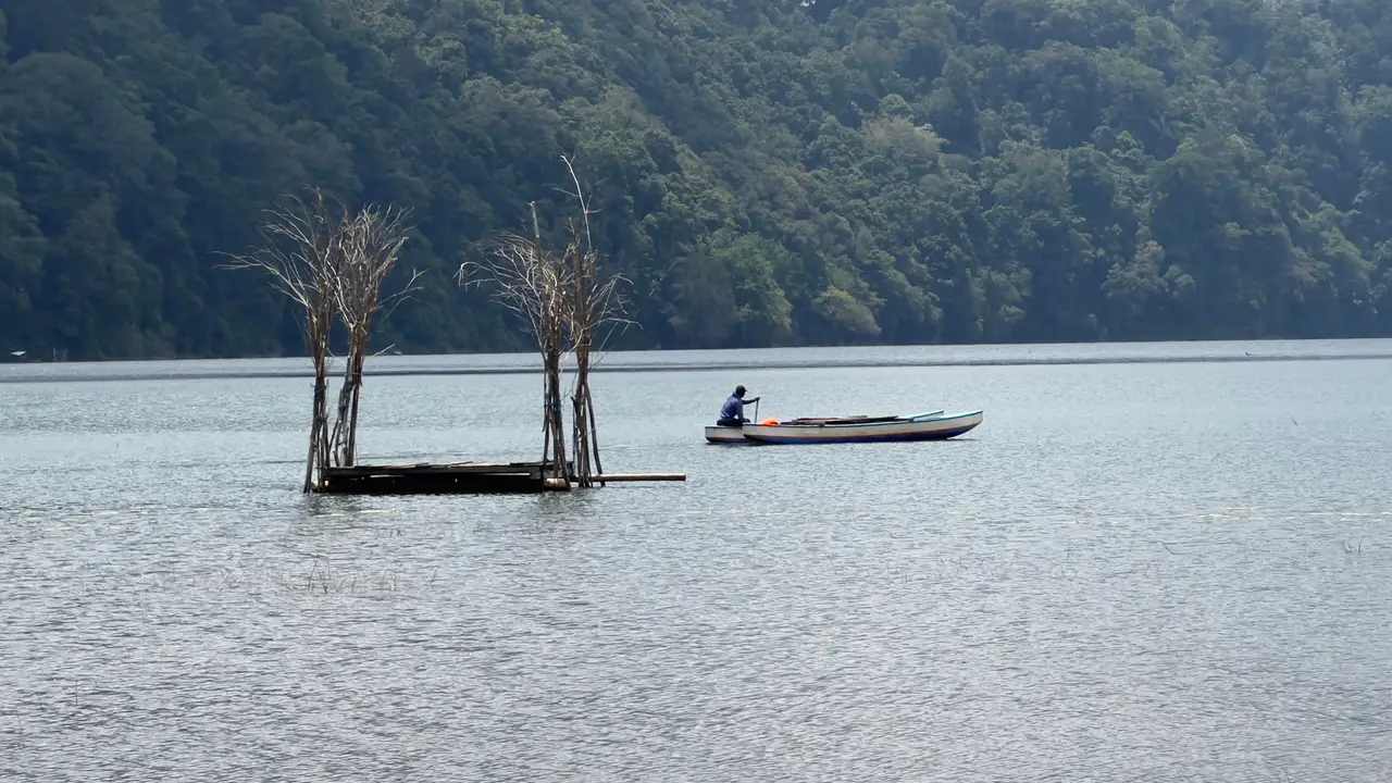A small boat crossing the still grey water of Lake Tamblingan beneath steep forest, with two bare tree trunks standing out of the lake on a floating platform.