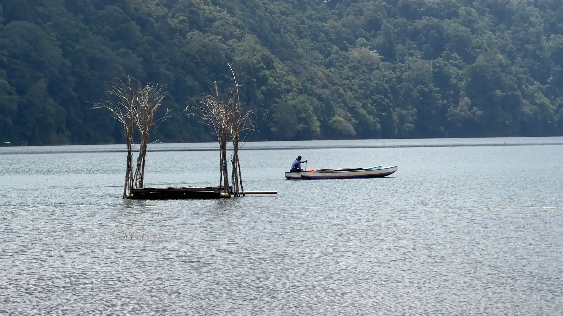 A small boat crossing the still grey water of Lake Tamblingan beneath steep forest, with two bare tree trunks standing out of the lake on a floating platform.